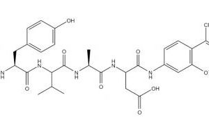 Caspase-1 Assay Kit