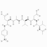 Caspase-2 Assay Kit Colorimetric with Ac-VDVAD-pNA substrate