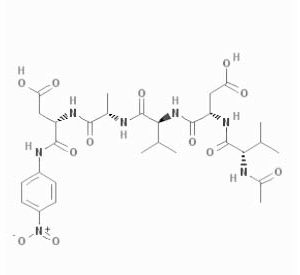 Caspase-2 Assay Kit Colorimetric with Ac-VDVAD-pNA substrate