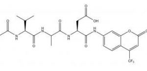 Caspase-2 Assay Kit