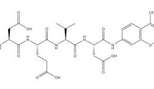 Caspase-3