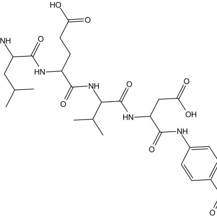 Caspase-4 Assay Kit