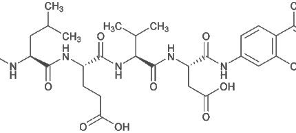 Caspase-4 Assay Kit