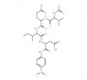 Caspase-6 Assay Kit