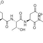Caspase-8 Assay Kit