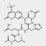 Caspase-9 Assay Kit