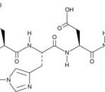 Caspase-9 Assay Kit