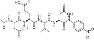 Caspase-10 Assay Kit