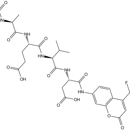 Caspase-10 Assay Kit