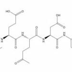 Caspase-13 Assay Kit