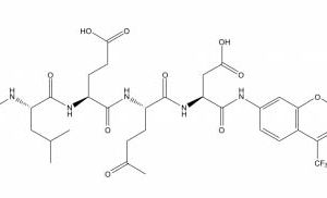 Caspase-13 Assay Kit