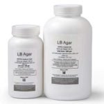 LB Agar