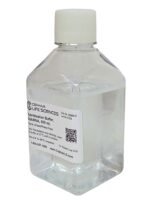 Clear plastic lab bottle with a white screw cap; label reads Cepham Life Sciences Hybridization Buffer, 500 mL, for DNA/RNA work