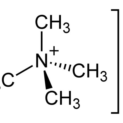 TMAC Hyb Solution [3X] (3M [(CH3)4N]Cl