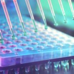 ß-Galactosidase Assay Kit