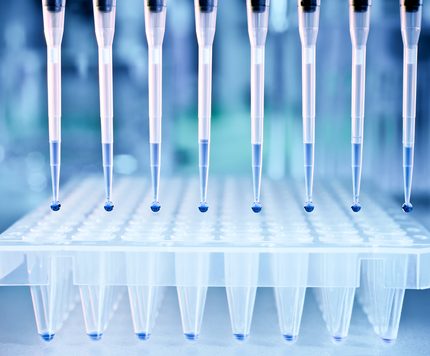 Luciferase Assay Kit