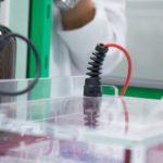 IEF Anode Buffer [50X]