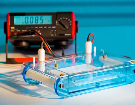 IEF Cathode Buffer (pH 3-7) [10X]