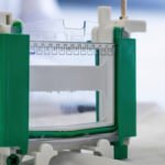 SDS-PAGE Sample Loading Buffer [6X]