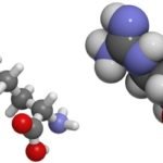 Arginine-C Digestion Kit