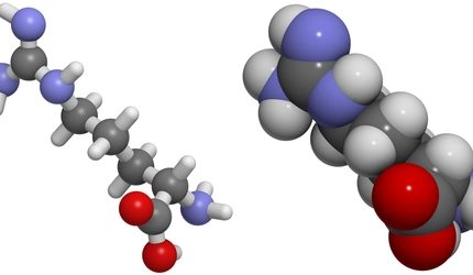 Arginine-C Digestion Kit