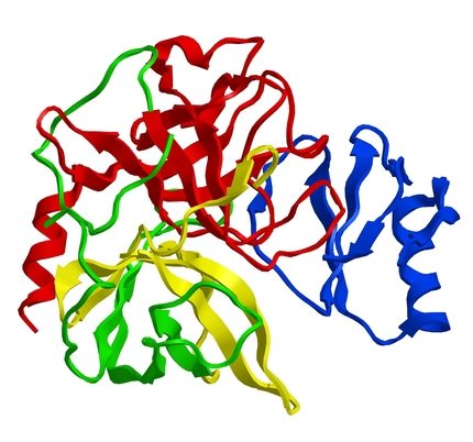 Chymotrypsin Digestion Kit