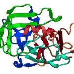 Trypsin Digestion Kit