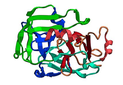 Trypsin Digestion Kit