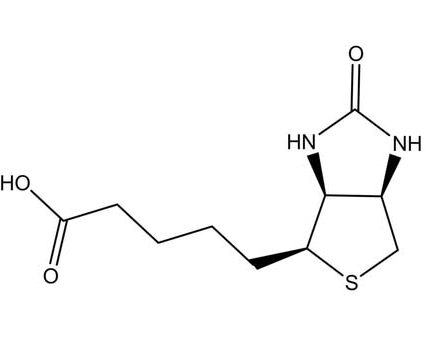 Biotin Agent; d-Biotin (Vitamin H)