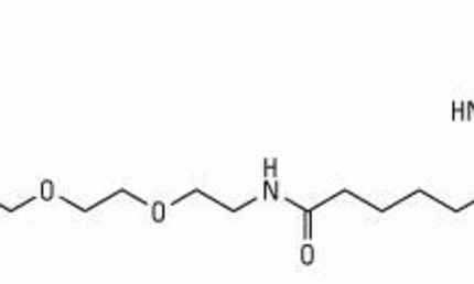 Biotin-PEG2-Amine