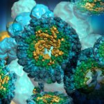 KLH (Keyhole Limpet Hemocyanin) (Immunological Grade)