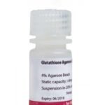 Glutathione Agarose Resin