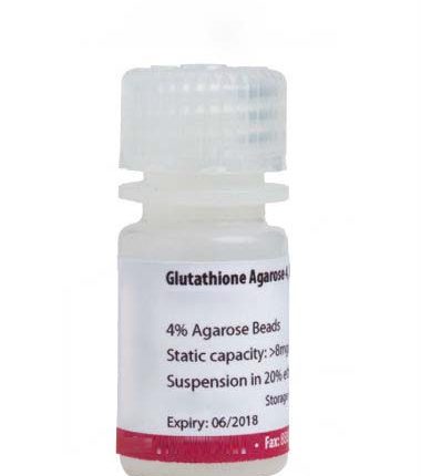 Glutathione Agarose Resin