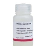 Protein A Agarose Resin