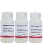Protein A/G Agarose Resin