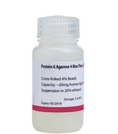 Protein G Agarose Resin