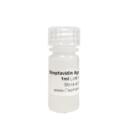 Streptavidin Agarose Resin