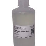 Western Transfer Buffer [20X]