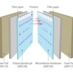 Nitrocellulose Membrane (10 x 10cm)