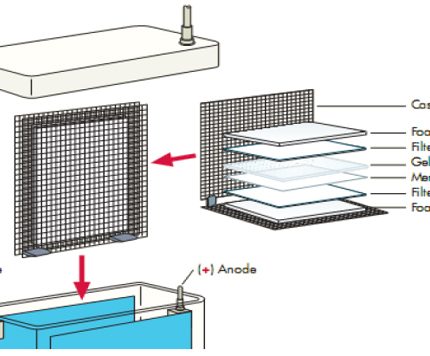 Chemiluminiscent ELISA - AP Kit