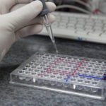 Colorimetric ELISA-HRP Kit