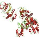 Taq DNA polymerase with Buffers