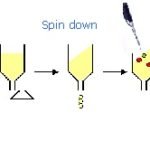 Probe DNA Purification Kit