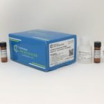 Acetylcholinesterase Assay Kit