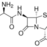 Ampicillin sodium Salt