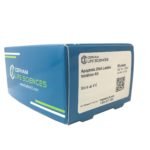 Apoptotic DNA Ladder Isolation kit