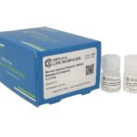 Bovine γ-Globulin Protein Standard [2mg/ml]