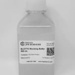 BLOTTO Blocking Buffer (5% Milk Protein)