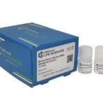 Bovine Serum Albumin (BSA) Standard 2mg/ml