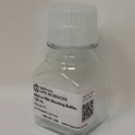 BSA in PBS Blocking Buffer [10X]